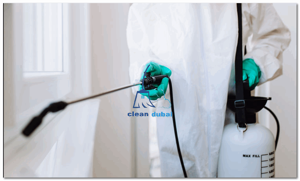 شركة مكافحة حشرات العين - 0543502263 كلين كور للتنظيف ...