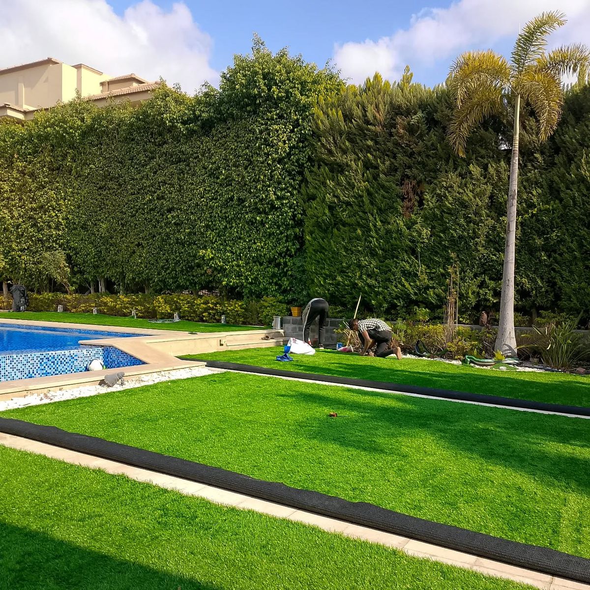 تنظيف المسابح والحدائق بدبي