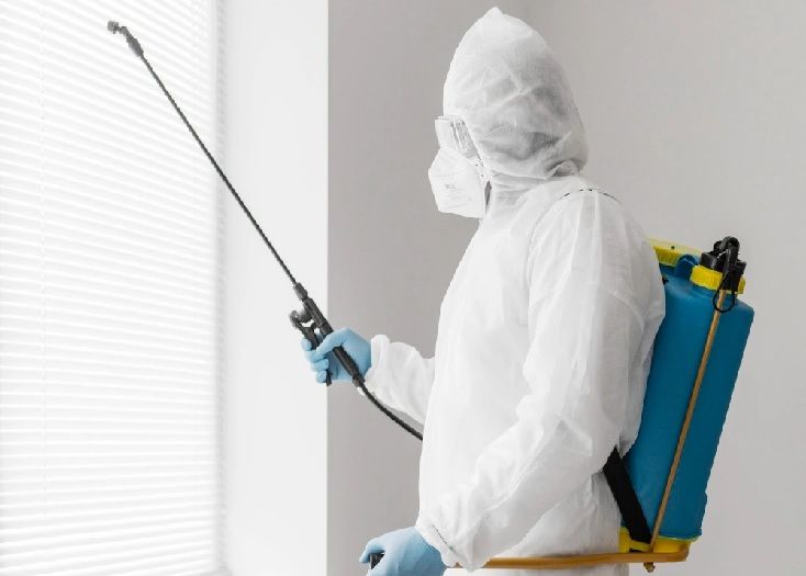 شركة مكافحة الزواحف بدبي