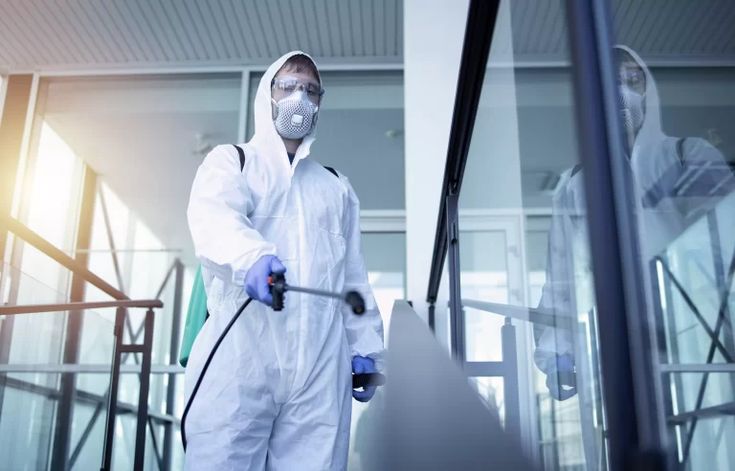 شركة مكافحة الزواحف بدبي