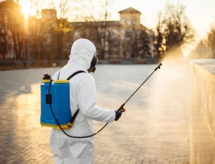 شركة مكافحة الزواحف في دبي – حلول احترافية للقضاء على الزواحف نهائياً