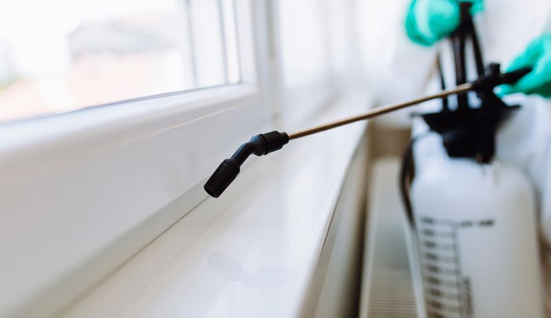 أفضل طرق علاج الرمة في دبي المعتمدة والآمنة