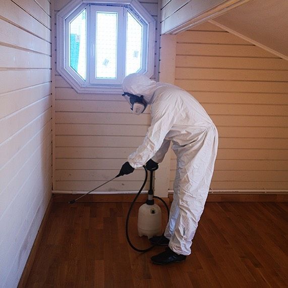 اتصل الآن بشركة مكافحة النمل الابيض بدبي