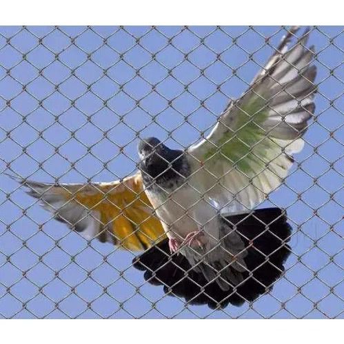 لماذا نحن أفضل شركة مكافحة حمام في دبي؟