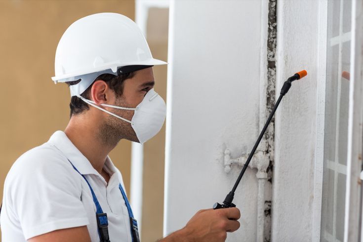 خطوات شركة مكافحة النمل الأبيض في أبوظبي أثناء تنفيذ الخدمة