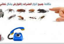  شركة مكافحة حشرات في ابوظبي