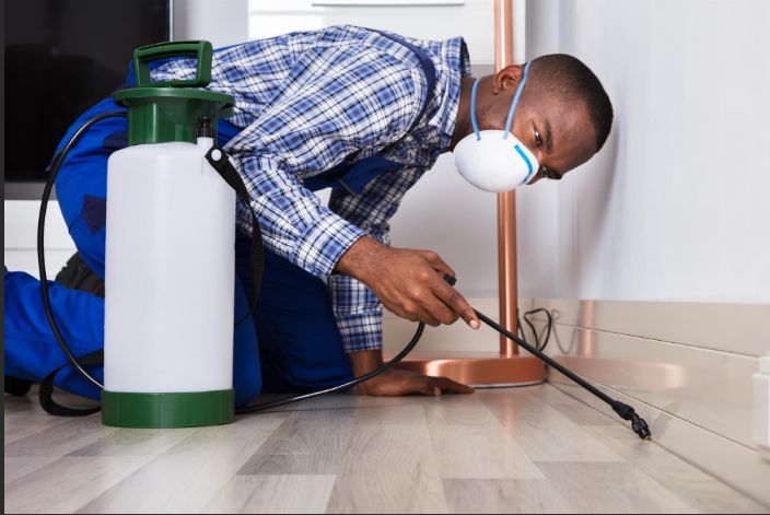 مميزات شركة رش مبيدات في أبوظبي التي نقدمها