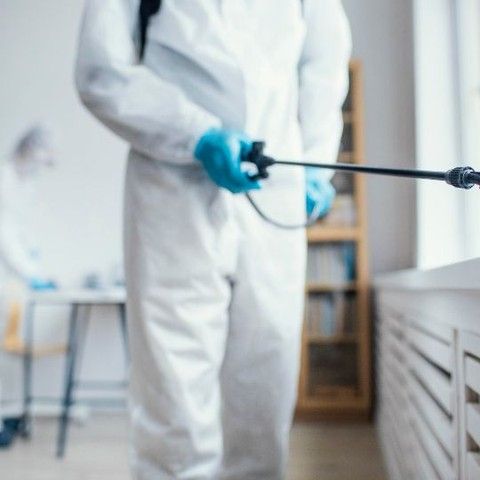 اتصل الآن بشركة مكافحة الرمة في الشارقة واحمِ منزلك قبل فوات الأوان