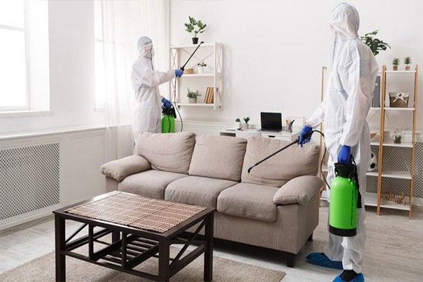 التخلص من الفئران في المجاري في دبي – المشكلة الأخطر وكيف نعالجها