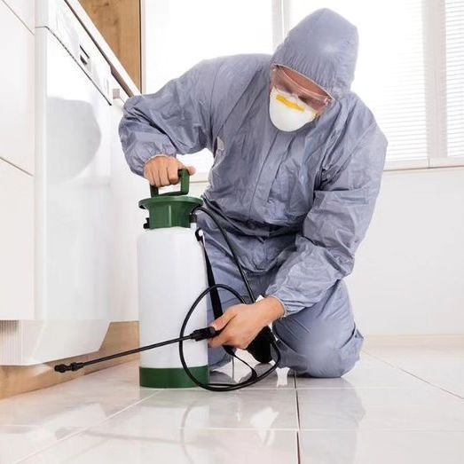 خطوات تنفيذ خدمة رش مبيدات في الشارقة داخل المنزل