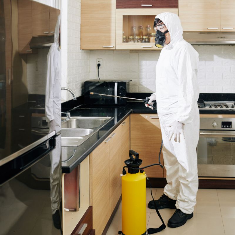 خطوات شركة رش صراصير في الشارقة من المعاينة حتى الضمان