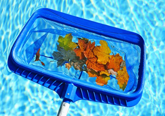 شركة تنظيف مسابح بشكل عاجل