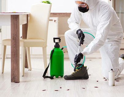 شركة تنظيف ومكافحة حشرات