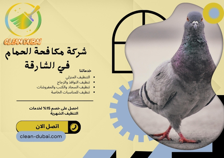  شركة مكافحة الحمام في الشارقة