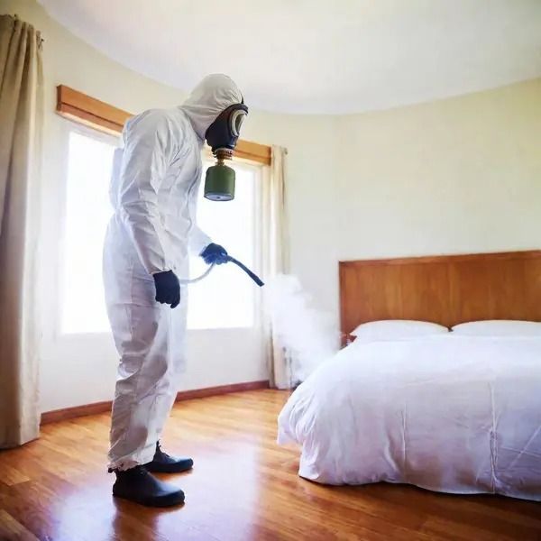 شركة مكافحة العثة الشارقة