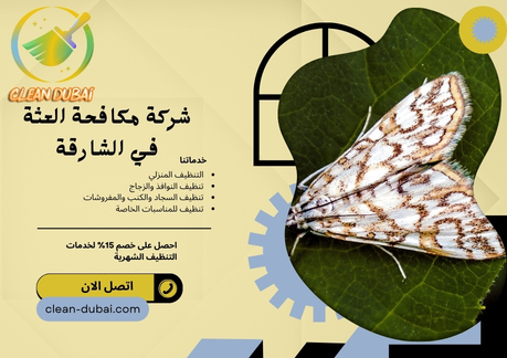 شركة مكافحة العثة في الشارقة