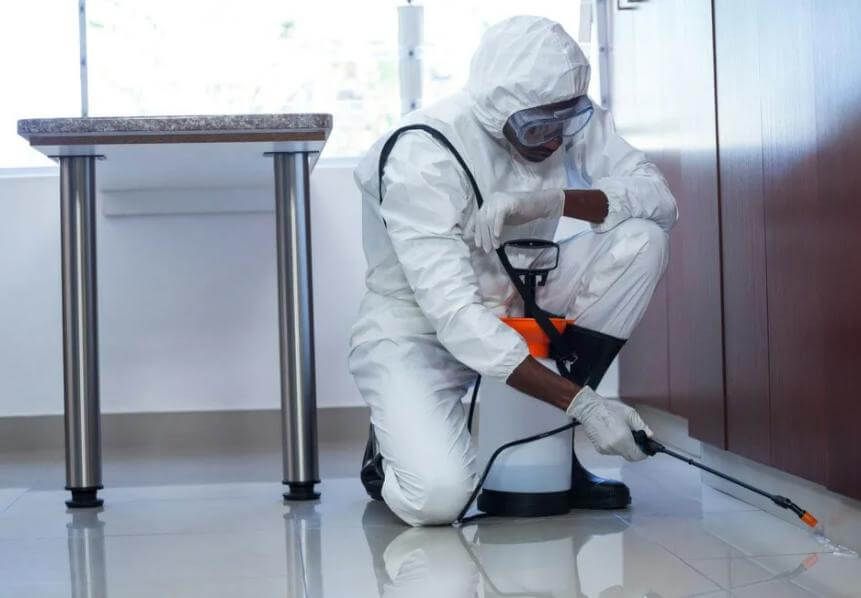 شركة مكافحة الفئران