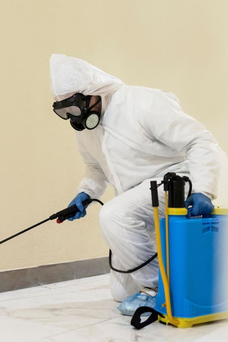 شركة مكافحة القوارض في الشارقة