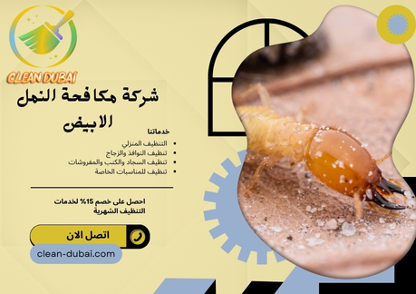 شركة مكافحة النمل الابيض