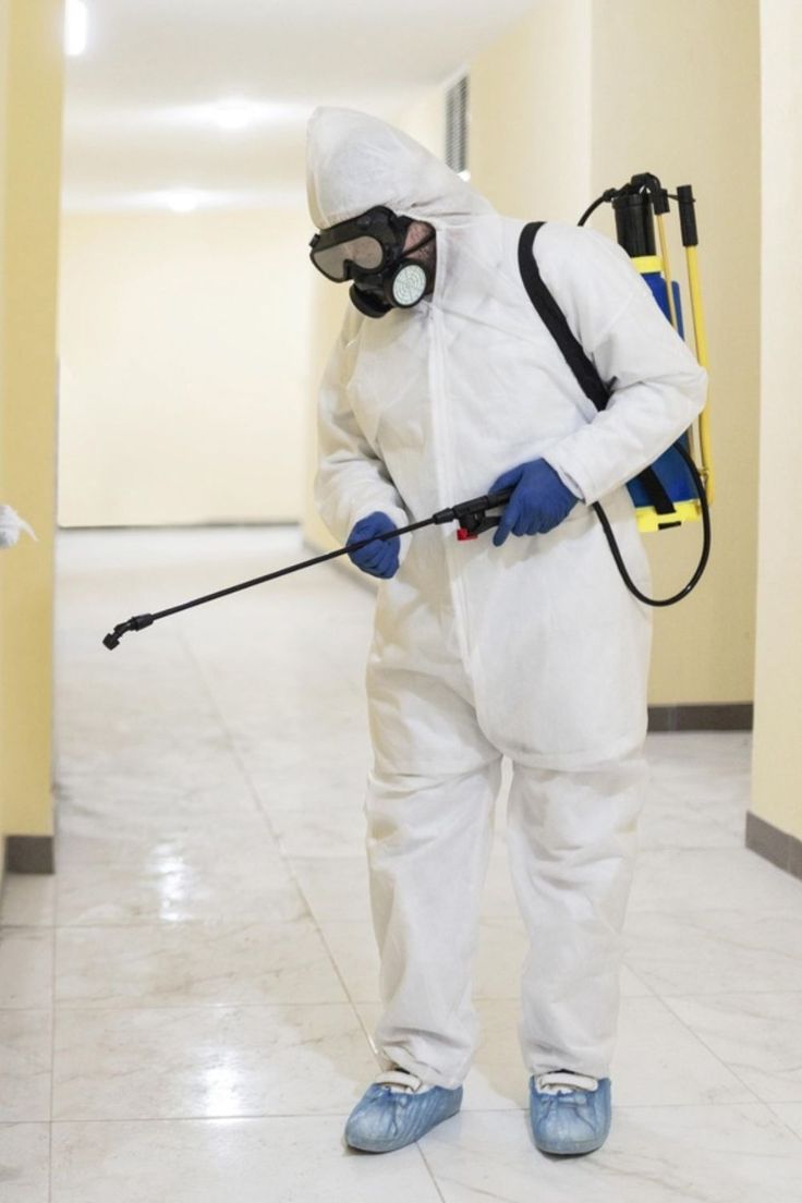 طرق ابادة الصراصير في الشارقة المعتمدة لدينا