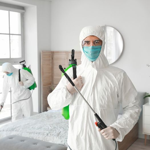 شركة مكافحة بق الفراش في دبي