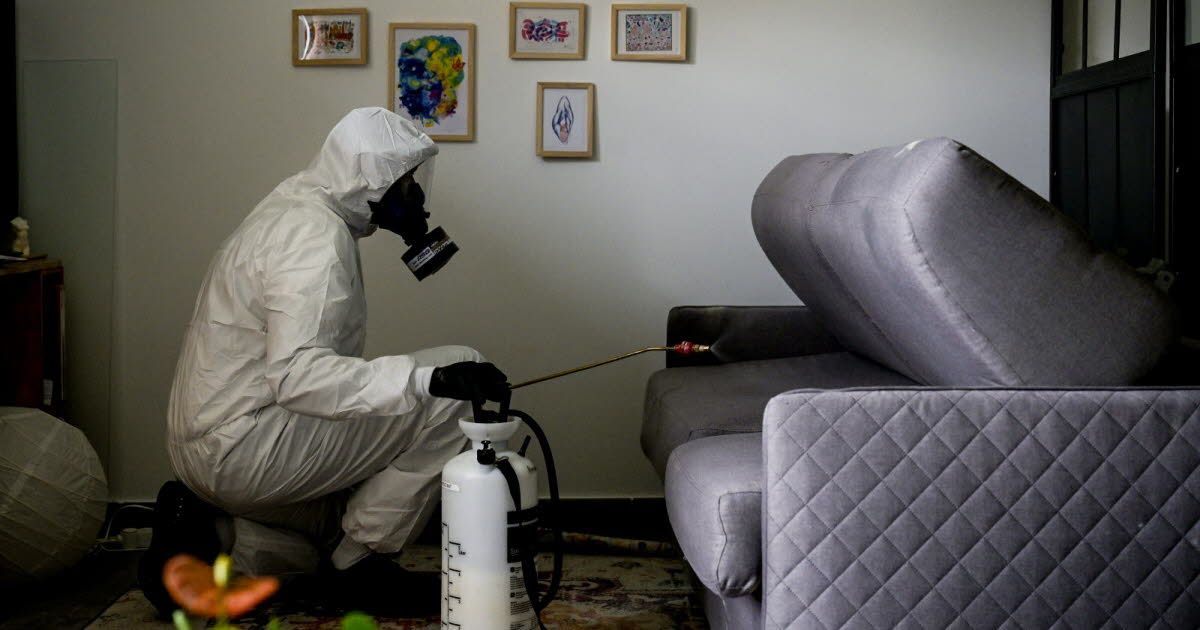 طرق القضاء على بق الفراش في دبي