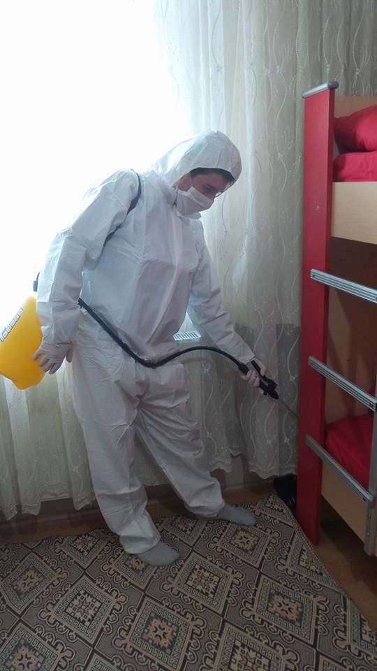 لماذا نحن أفضل شركة مكافحة بق الفراش في دبي؟