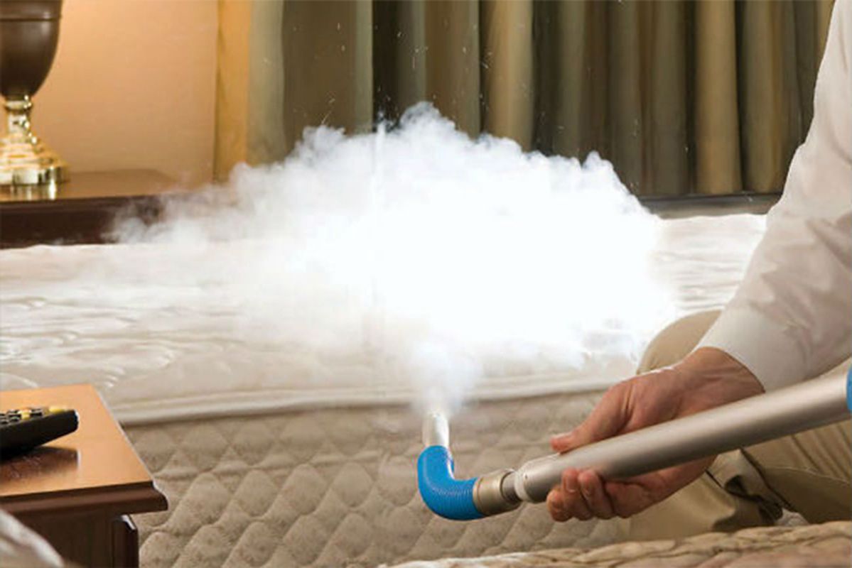 مكافحة بق الفراش في دبي